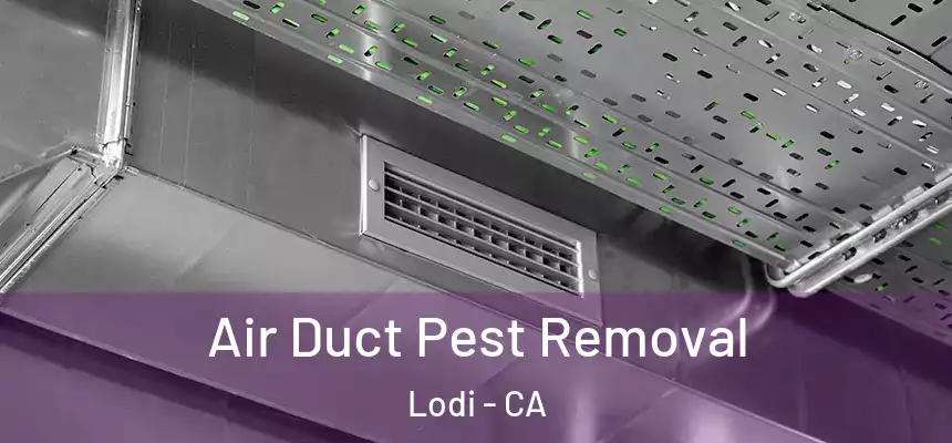 Air Duct Pest Removal Lodi - CA