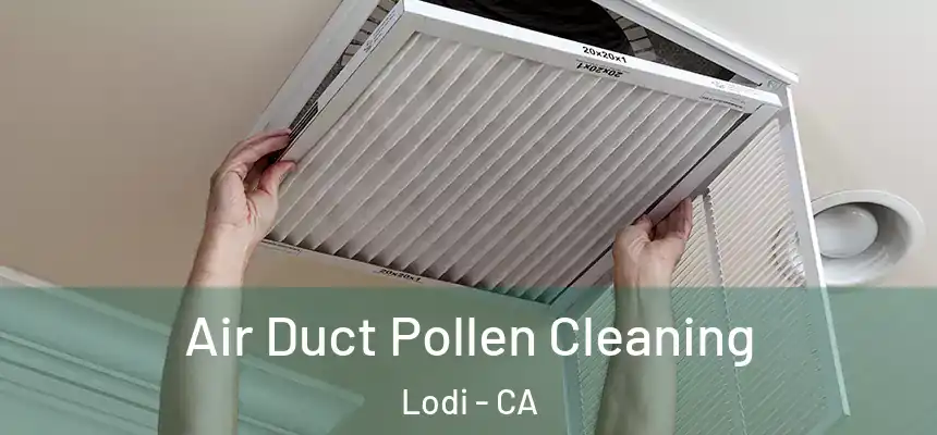  Air Duct Pollen Cleaning Lodi - CA