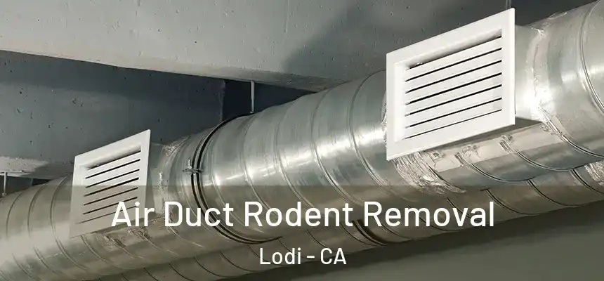 Air Duct Rodent Removal Lodi - CA