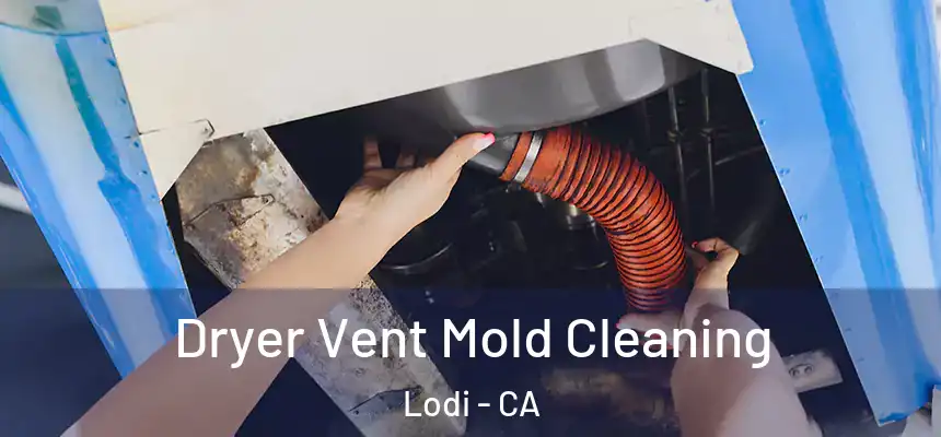 Dryer Vent Mold Cleaning Lodi - CA