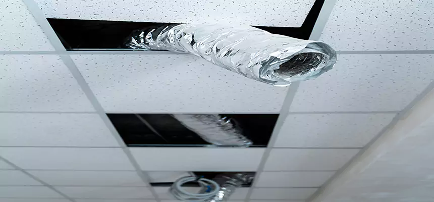 Affordable HVAC Sanitizing After Pest Removal in Lodi