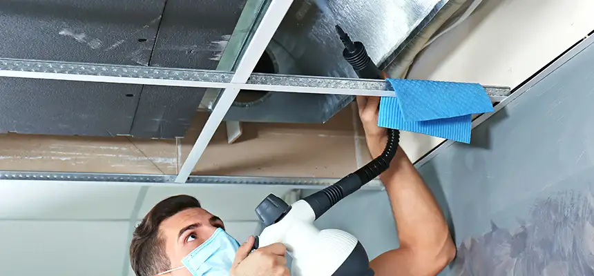 Our Air Duct Rodent Removal Services in Lodi, CA