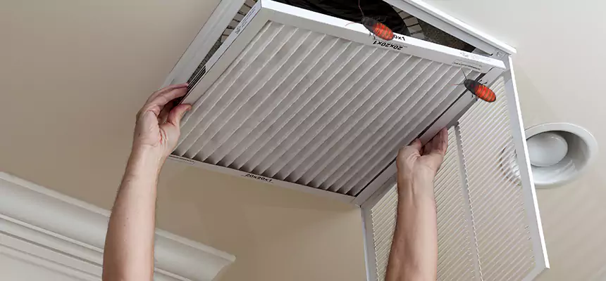 Our Insect Removal from Air Ducts Services in Lodi, CA