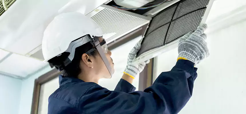 Our Mold & Mildew Removal from Air Ducts Services in Lodi, CA