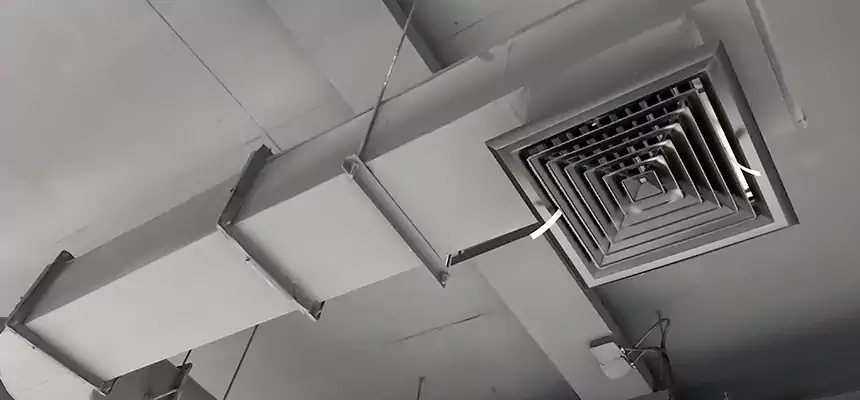 Our Pest Removal From Ducts Services in Lodi, CA