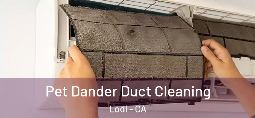 Pet Dander Duct Cleaning Lodi - CA