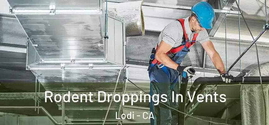 Rodent Droppings In Vents Lodi - CA