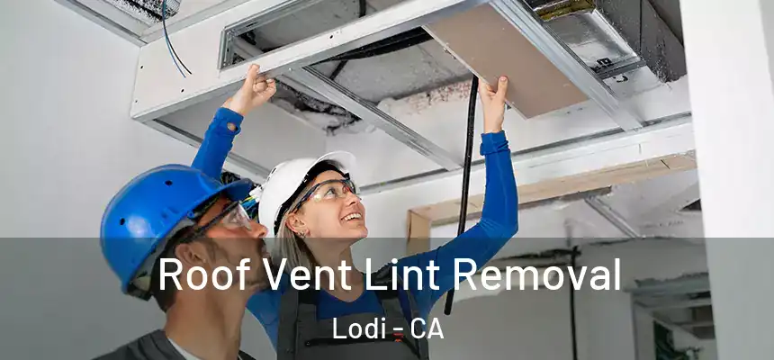  Roof Vent Lint Removal Lodi - CA