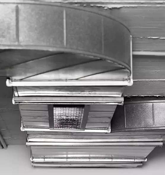 Professional Air Duct Pet Hair Removal in Lodi, CA