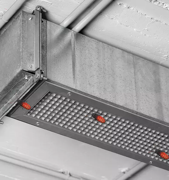 Affordable Insect Removal from Air Ducts in Lodi, CA