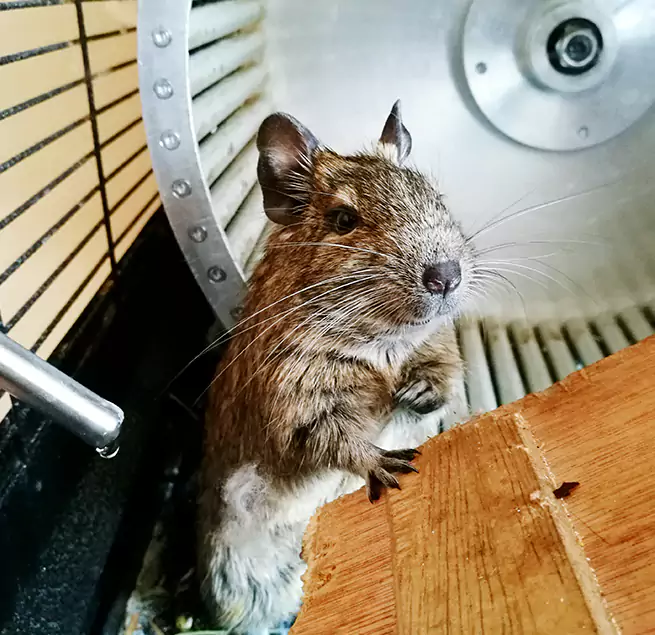 Why Homeowners & Businesses Trust Us Lodi, CA