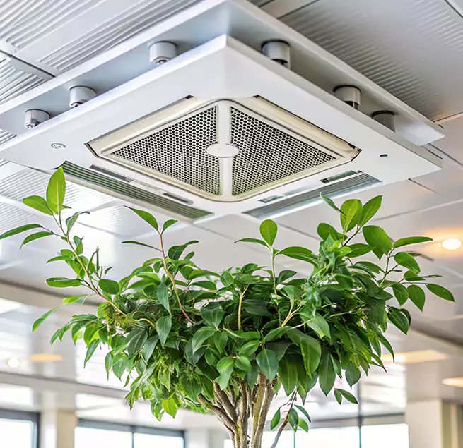 Why Homeowners & Businesses Trust Us in Lodi, CA