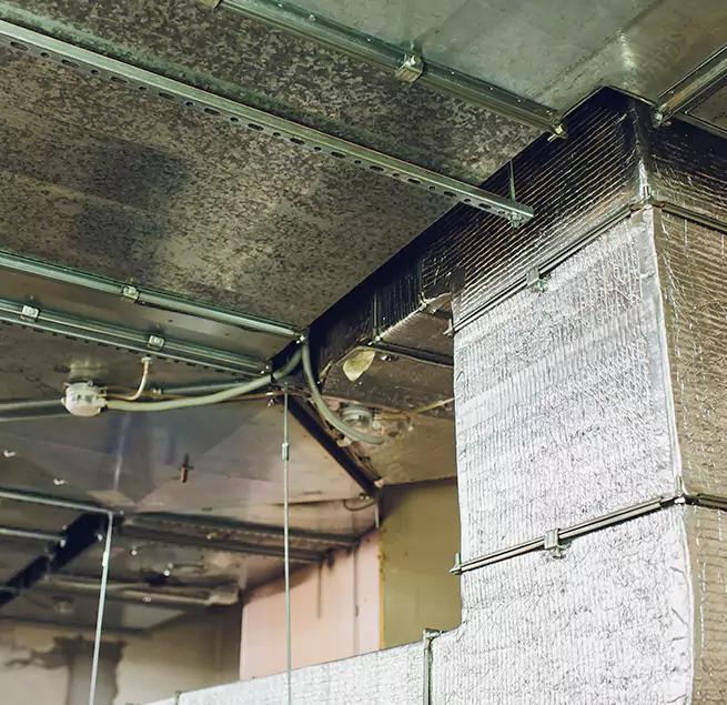 Why Homeowners & Businesses Trust Us in Lodi, CA?