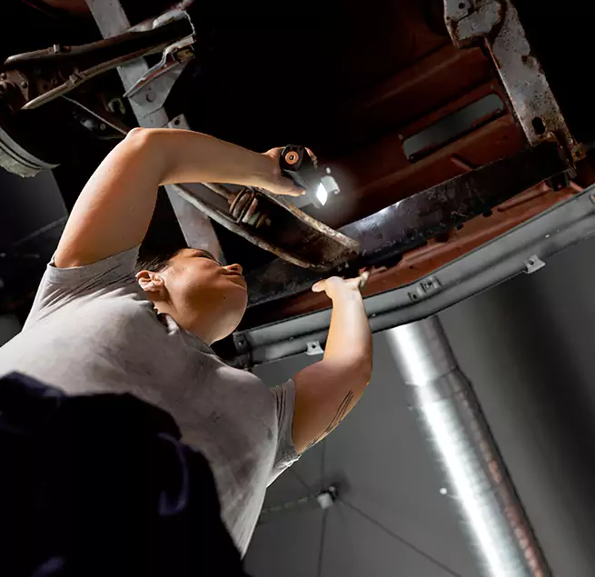 Why Homeowners & Businesses Trust Us Lodi, CA