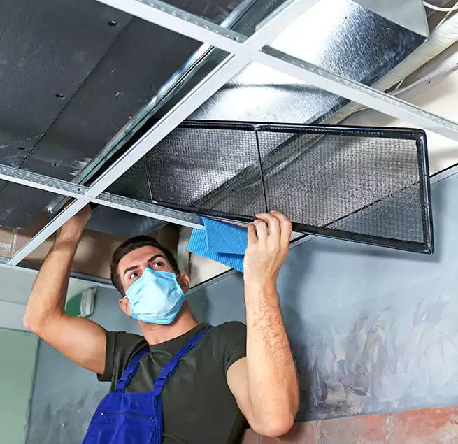 Why Homeowners Businesses Trust Us in Lodi, CA